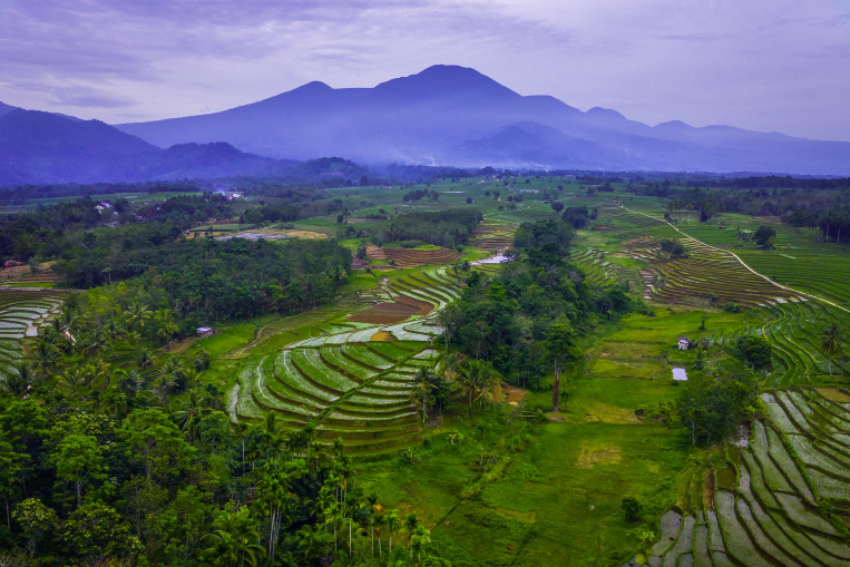 Sewa Mobil ke Puncak